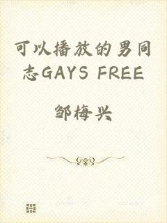 可以播放的男同志GAYS FREE